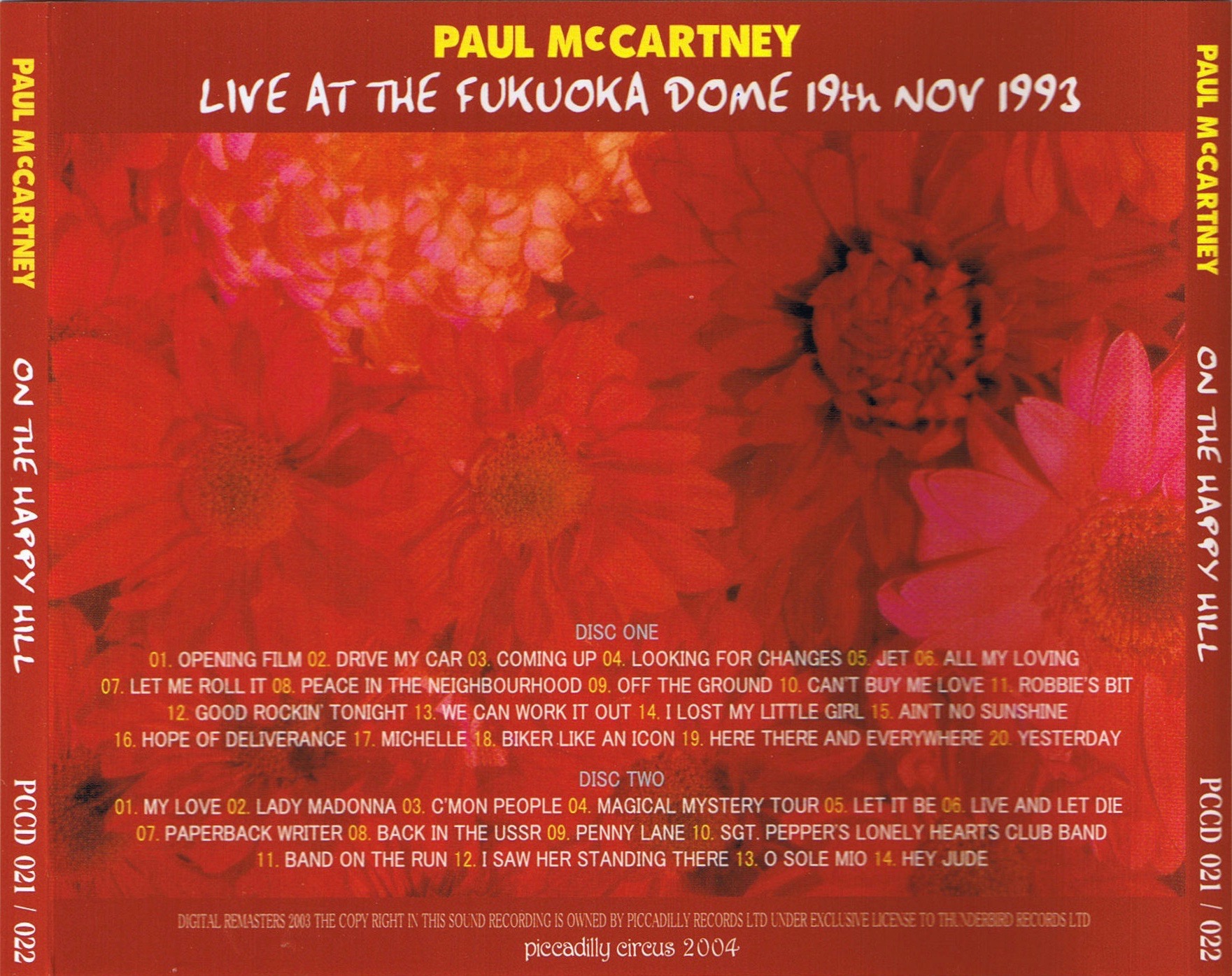 PaulMcCartney1993-11-19FukuokaDomeJapan (1).jpg